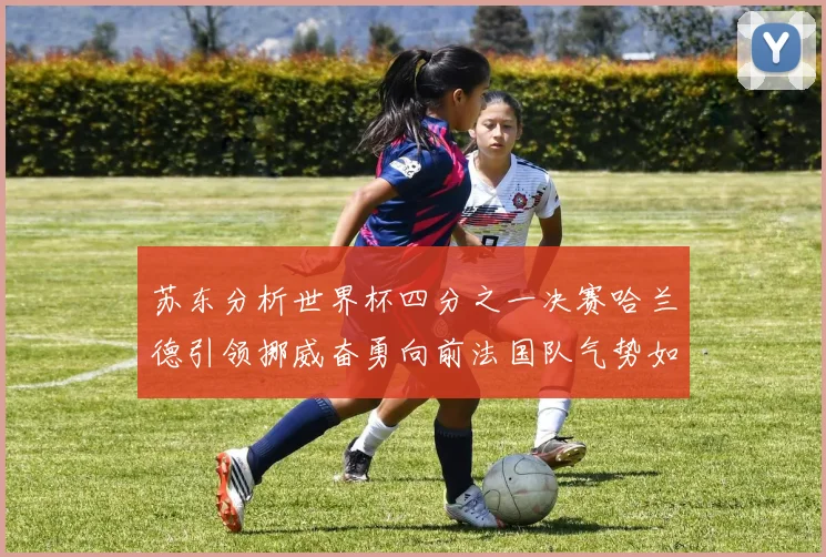 苏东分析世界杯四分之一决赛哈兰德引领挪威奋勇向前法国队气势如虹