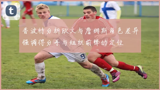 香波特分析欧文与詹姆斯角色差异强调得分手与组织前锋的定位